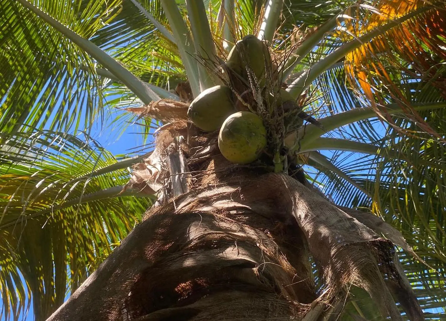 Fabuleuse Villa Keur Bibou Dakar